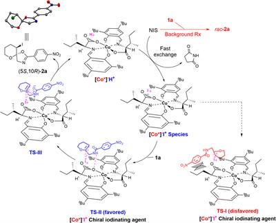 New anionic cobalt(III) complexes enable enantioselective synthesis of spiro-fused oxazoline and iodoacetal derivatives